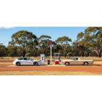 Electric vs Petrol Cars in 2025: Which One Should You Buy in Australia?